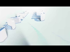 2025年 気候の世界